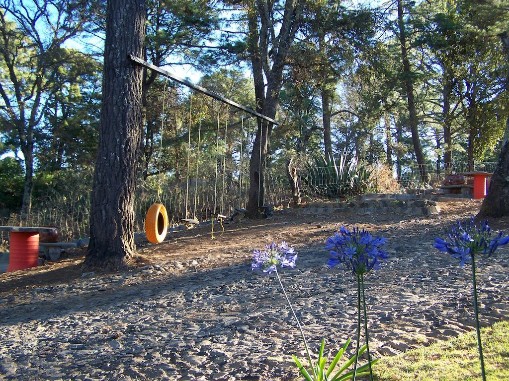 Вілла Cabanas El Roble Тапальпа Номер фото
